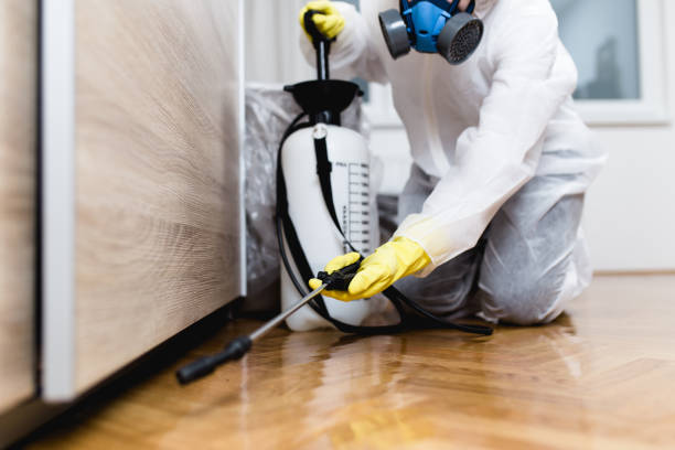 Best Bed Bug Extermination  in Lawndale, CA