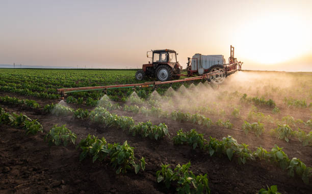 Best Commercial Pest Control Services  in Lawndale, CA