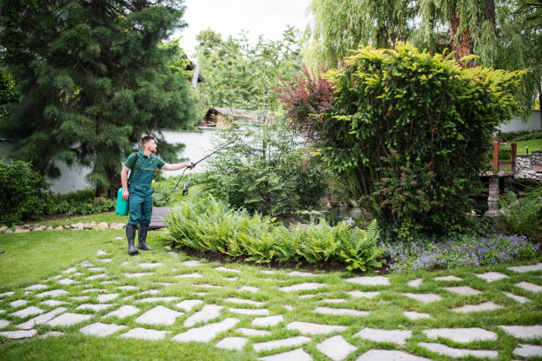 Best Wildlife Control Services  in Lawndale, CA