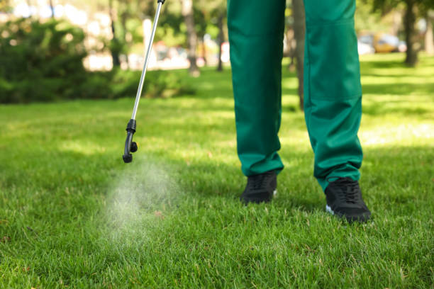 Bird Control in Lawndale, CA