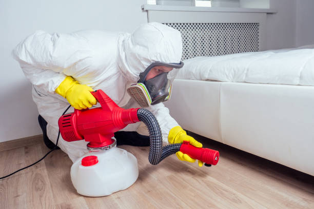 Best Local Pest Control Services  in Lawndale, CA