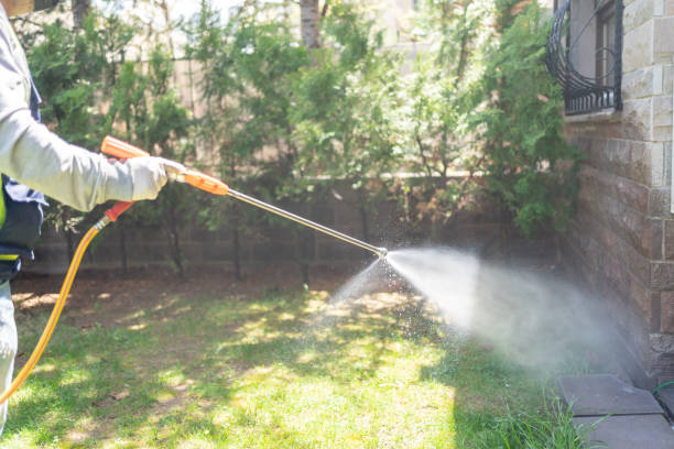 Professional Pest Control in Lawndale, CA