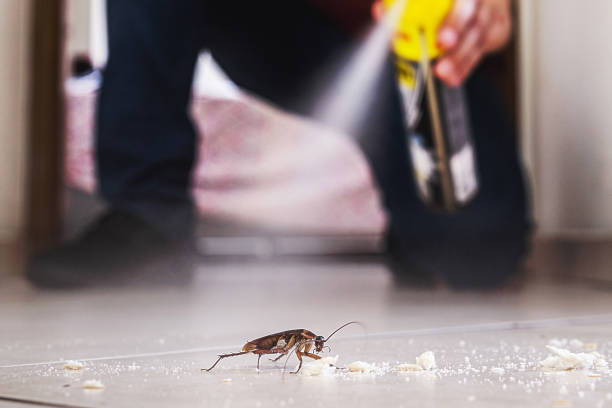 Best Cockroach Control Services  in Lawndale, CA